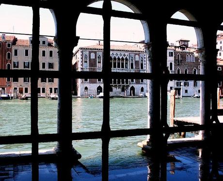 VENICE. PIECES OF LIFE DOWN IN THE LAGOON