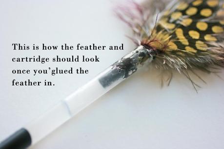 DIY feather pens
