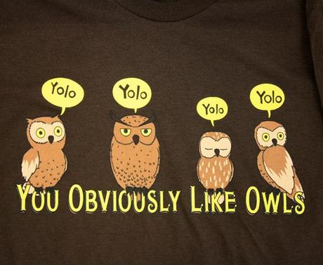 YOLO, t-shirt, Jef Jaques, Questionable Content, funny