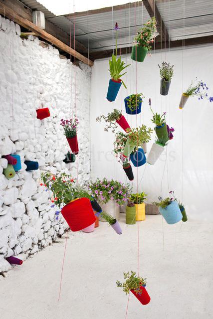 plants hanging from string reels