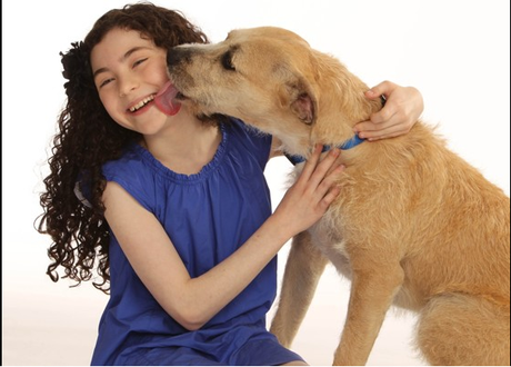 Dog Slated to Play Sandy in Broadway’s Revival of ‘Annie’