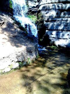 Glimpses of my city beautiful : Chandigarh Glimpses of my city beautiful : Chandigarh