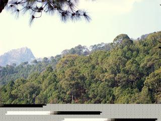 Glimpses of my city beautiful : Chandigarh Glimpses of my city beautiful : Chandigarh