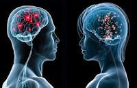 MEN VS. WOMEN : Human Brain Analysis