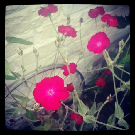 IMG_20120721_201043 Crafting and sunshine