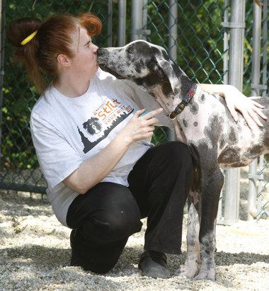 A Dog Home: Facility Rescues Canines with Special Needs
