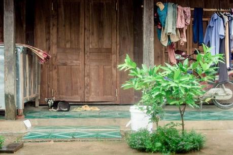 One day in the mountainous part of Vietnam on a motor bike Vn_bike_ride_img_8637-800x533