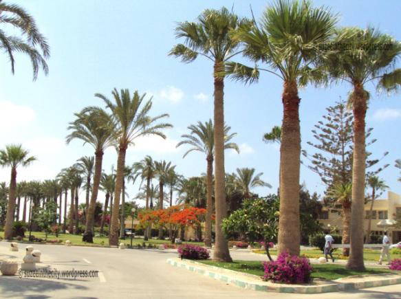 Sidi Abdel Rahman – Egypt’s North Coast Nostalgia