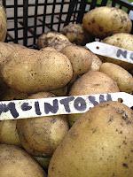 Potato trial: second early potatoes