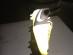 IMG_1671 New Stuff: Check Out NIke’s CTR 360 Maestri III