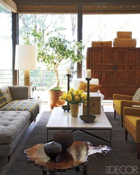 living room, ficus tree, mid-century modern, Michael DePerno HOUSE PLANTS // Cheap Trick