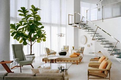 living room. modern. white, ficus fiddle leaf, Joe Serrins, WSJ HOUSE PLANTS // Cheap Trick
