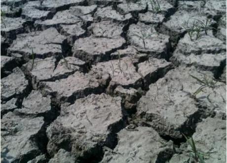 Scientists told Congress that recent droughts in the US were caused by mand-made global warming.