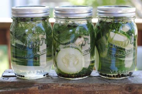 summer snackin'--make your own pickles