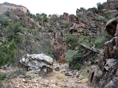 2012 - April 2nd - East Fork Pollock Canyon, McInnis Canyons National Conservation Area/Black Ridge Canyons Wilderness