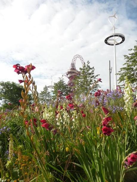 olympics plants The Gold Medal Olympic Park