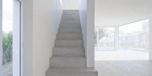 Wohnhaus Gingko by on3 Architekten