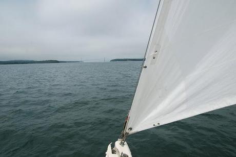 Wilder Pictures + Happenings: Eggemoggin Reach Regatta, Part 3 (or) Sailing Home