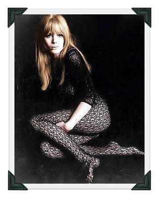 The Fringe Movement The Fringe Movement