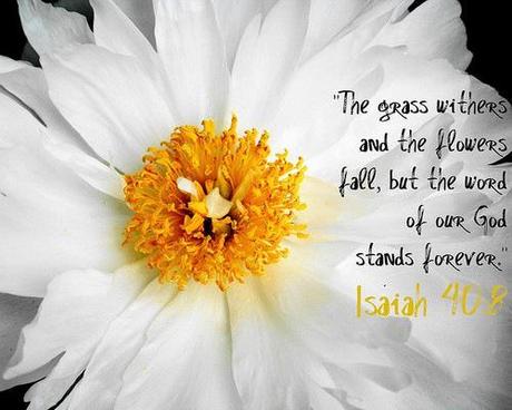 the grass withers and the flowers fall but the word of our God stands forever