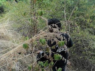 58) Makalidurga – Railway Trek: (13/7/2012) 58) Makalidurga – Railway Trek: (13/7/2012)