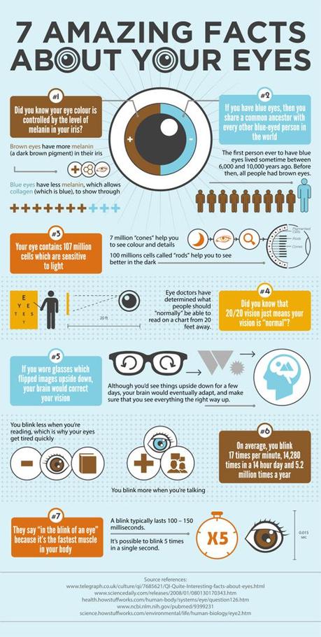 7 Incredible Eye Facts Infographic