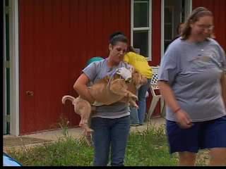About 300 Dogs Found at Ohio Puppy Mill Kennel
