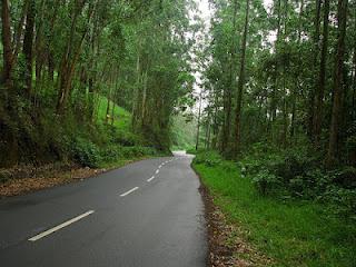 Munnar top station Road