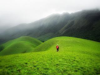 sceneries in Kerala 