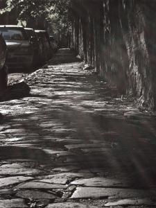 Sunlight, cobbled pavement