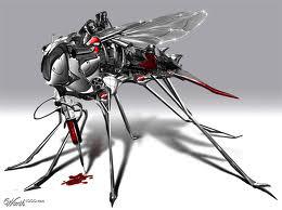 West Nile Virus and Why we should take precautions