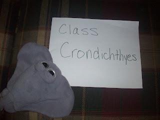 Class Crondichthyes