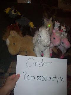 Order Perissodactyla - My daughter's favorite