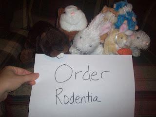 Order Rodentia