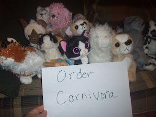 Order Carnivora (The bears were absent from this picture!)