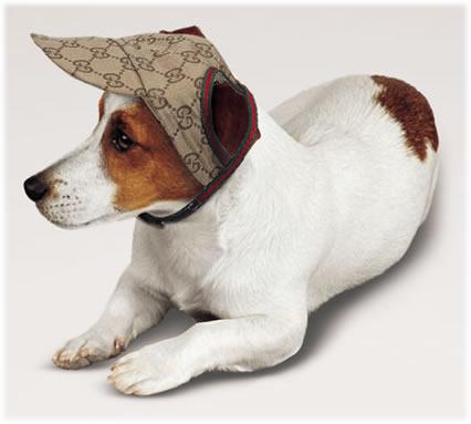 Gucci Pet Baseball Cap: image via forum.purseblog.com Gucci Pet Baseball Cap: image via forum.purseblog.com