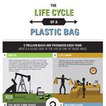 How Resuable Bags Will Replace Plastic Bags