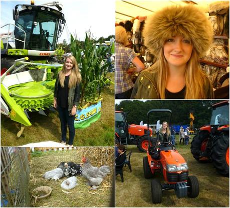 family time family time