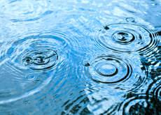 Information travels across networks in ripples Information travels across networks in ripples