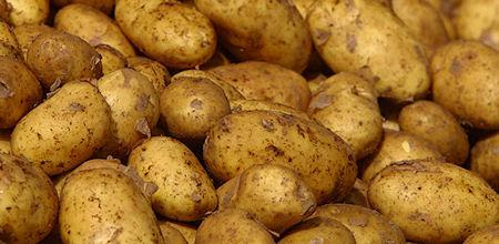Ten Foods That Contain Gruesome Poisons Ten Foods That Contain Gruesome Poisons