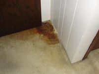 Filthy Floor Filthy Floor