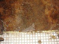 Dirty Floor Dirty Floor