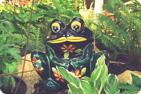 ceramic frog colorful