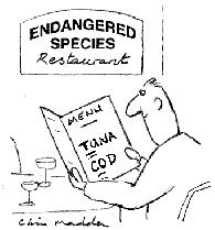 tuna-restaurant The rarity paradox
