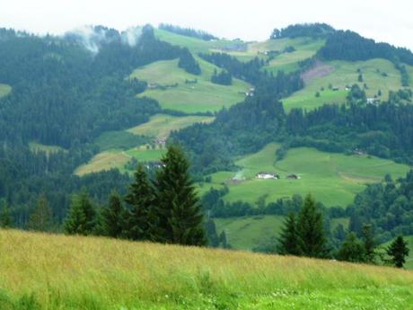 We went on a couple of short walks in our down time, enjoying the beauty of Tyrol, Austria.