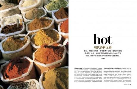 Introducing Shang—-the new Shangri La Hotels’ magazine blog post image