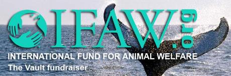 The Vault teams up with Kristin Bauer in support of IFAW
