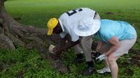 Breezes Runaway Bay in Jamaica a Super Beach Retreat Jamaica golf courses