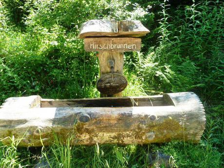 hiking in the black forest_fountain hiking in the black forest_fountain
