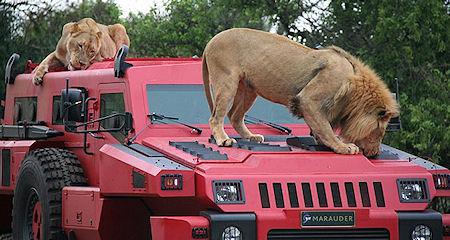 Top Gear Finds The World's Most Unstoppable Vehicle